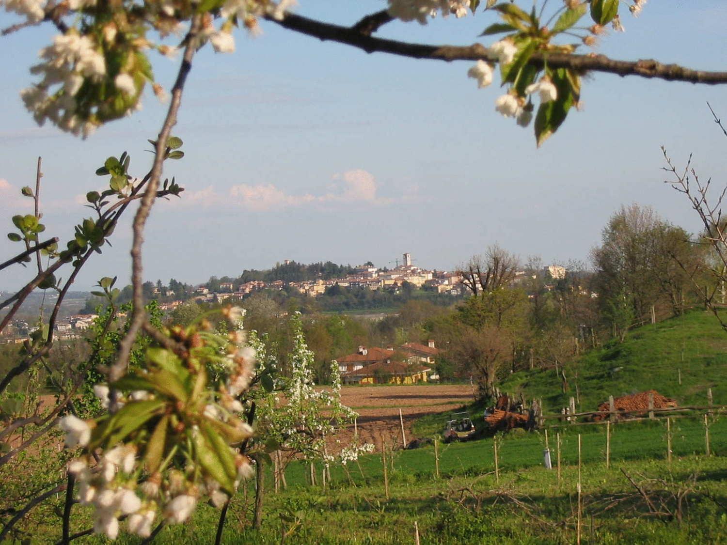 Agriturismo Casa Rossa Ai Colli Ragogna Extérieur photo