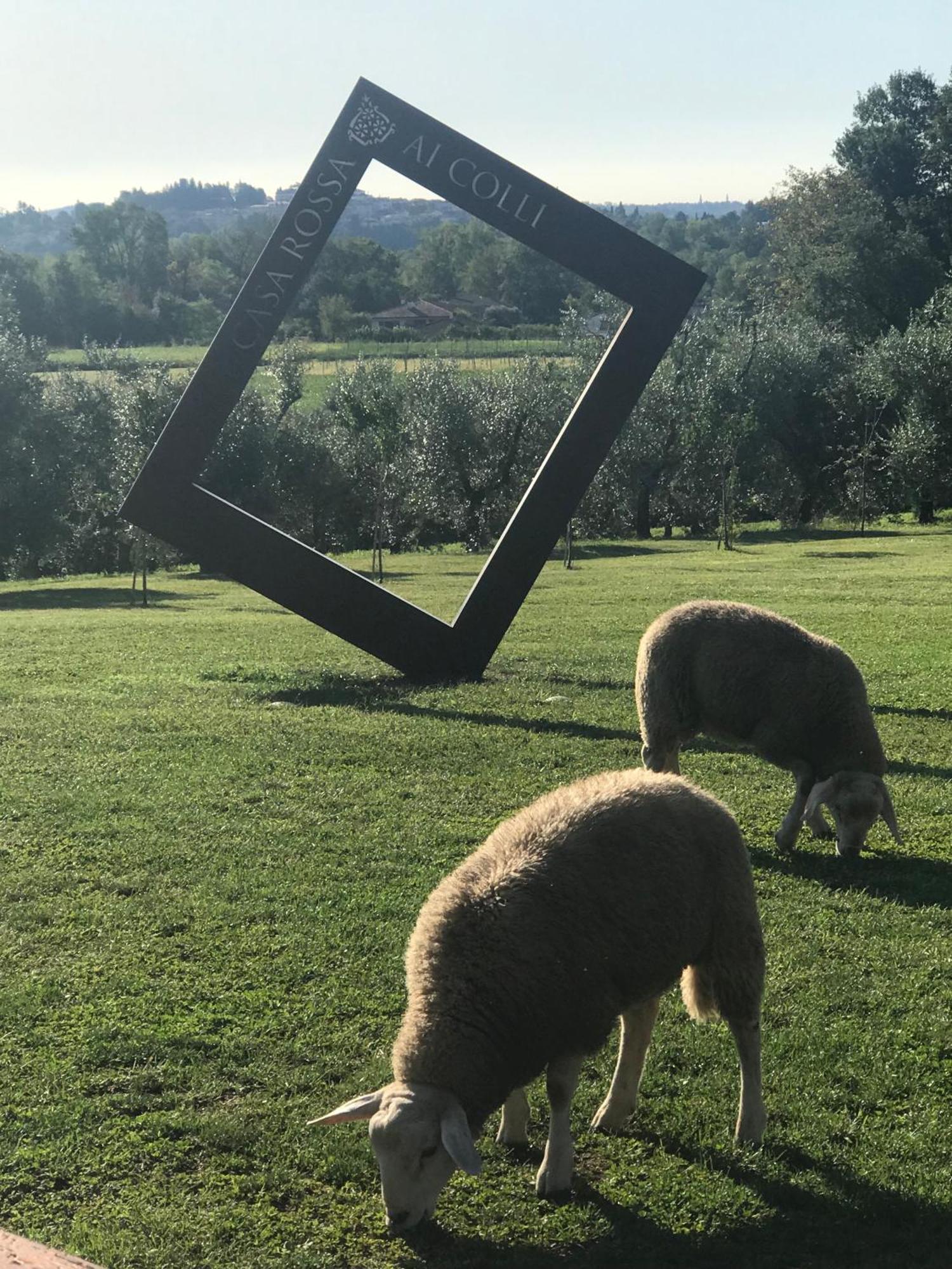 Agriturismo Casa Rossa Ai Colli Ragogna Extérieur photo